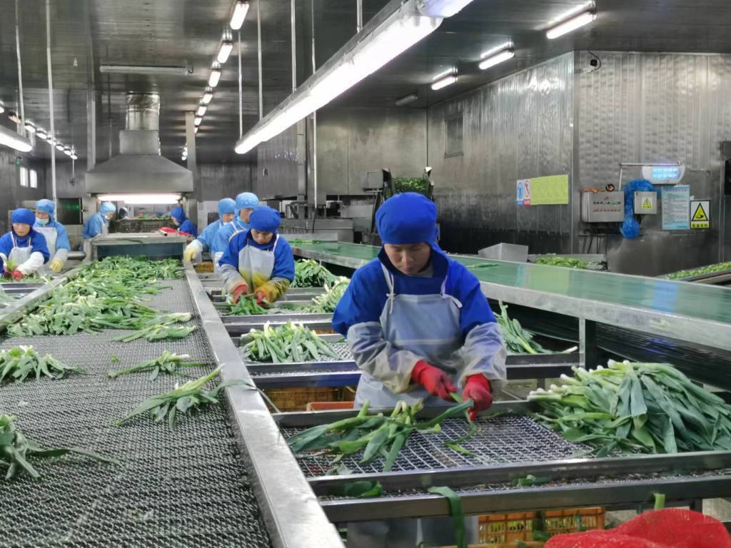 預(yù)制菜生產(chǎn)線定制方案與管理控制，如何組建預(yù)制菜的加工廠